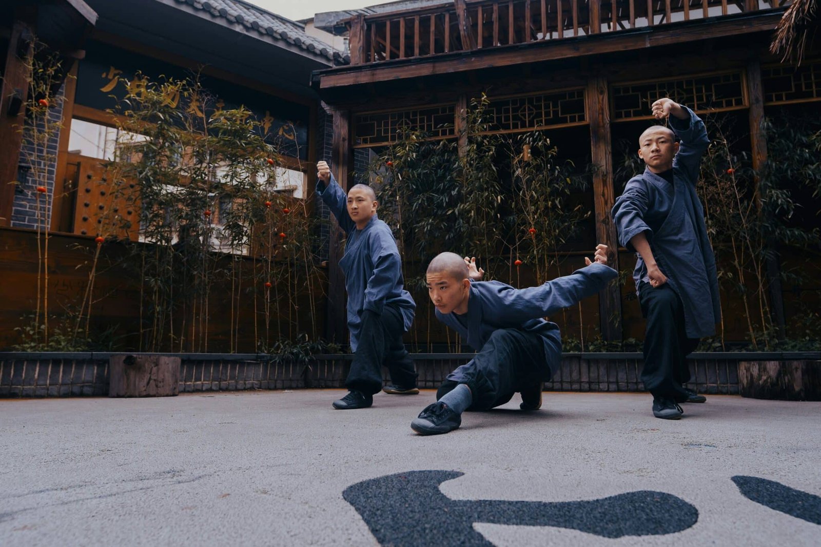 Le Qi Gong tout savoir sur cet art de santé chinois — free download